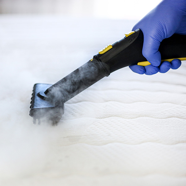 Worker removing dirt from carpet indoors, closeup. Cleaning service