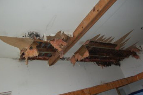 damaged ceiling